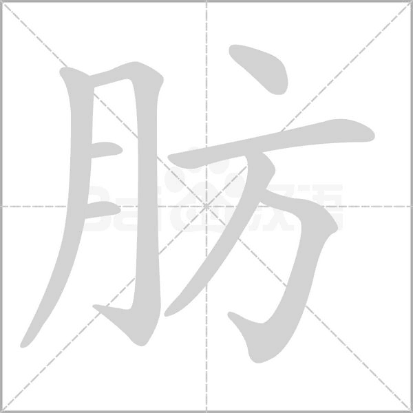 肪字笔顺图