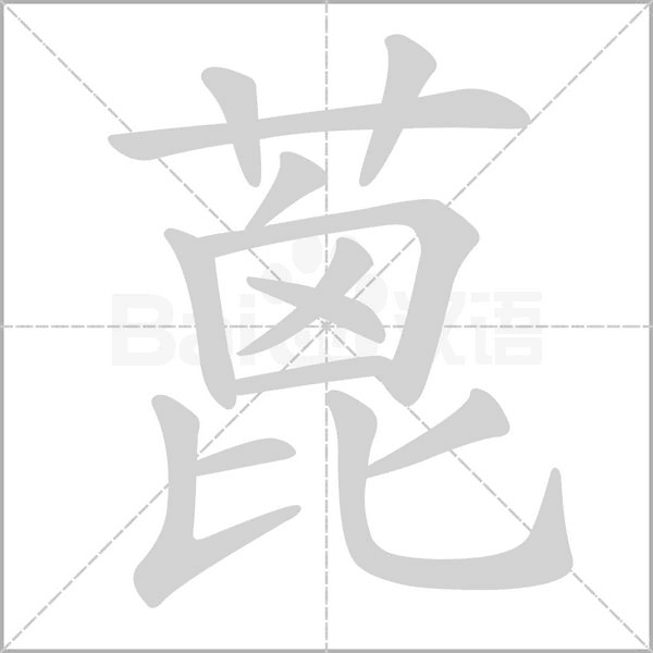 蓖字笔顺图