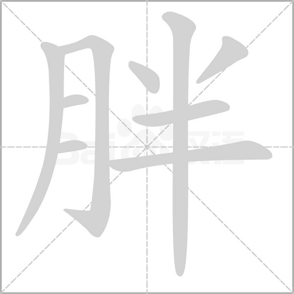胖字笔顺图