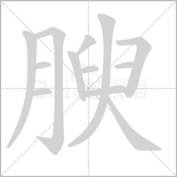 腴字笔顺图