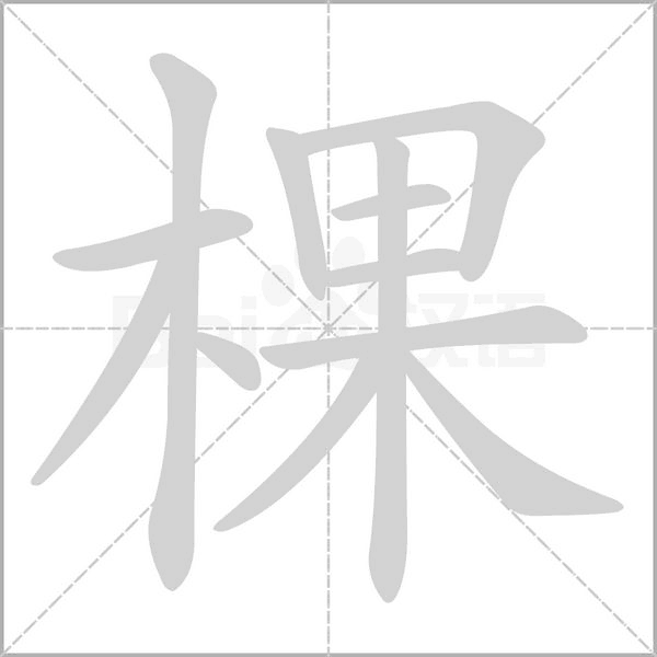 棵字笔顺图