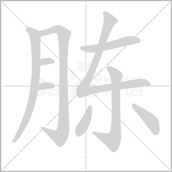 胨字笔顺图