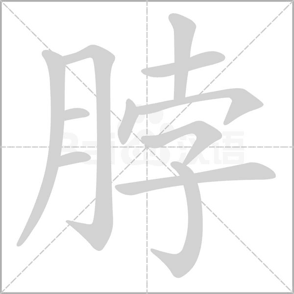 脖字笔顺图