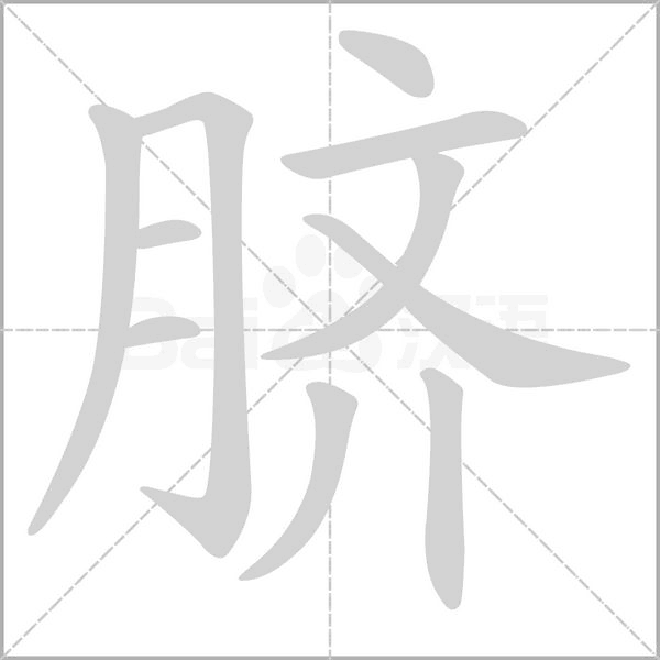 脐字笔顺图