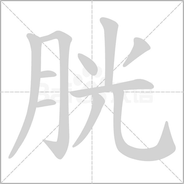 胱字笔顺图