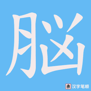 脳字笔顺图