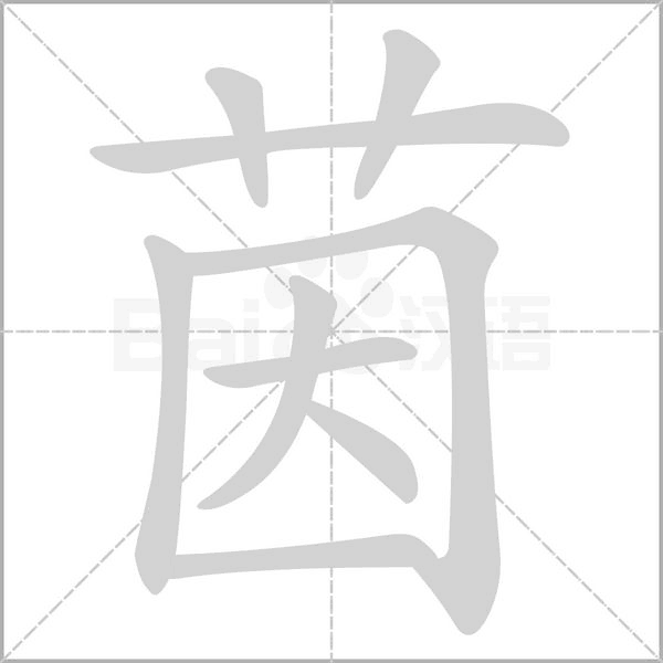 茵字笔顺图
