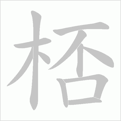 桮字笔顺图
