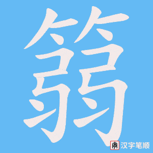 篛字笔顺图