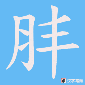 肨字笔顺图