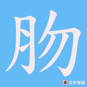 肳字笔顺图