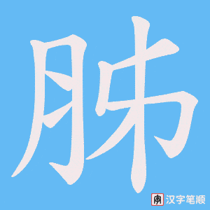 胏字笔顺图