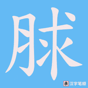 脙字笔顺图