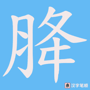 胮字笔顺图