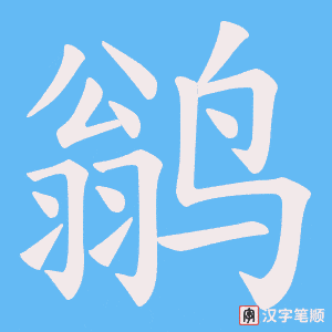 鹟字笔顺图