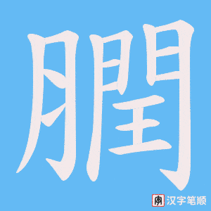膶字笔顺图
