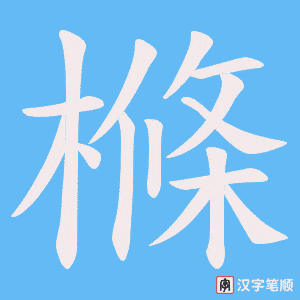 樤字笔顺图