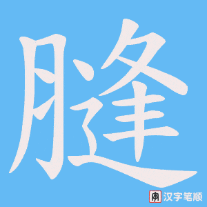 膖字笔顺图