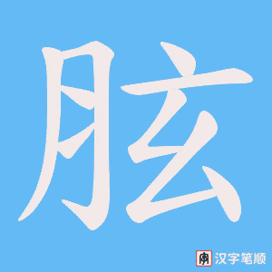 胘字笔顺图