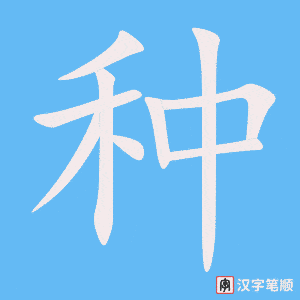种字笔顺图