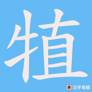 犆字笔顺图