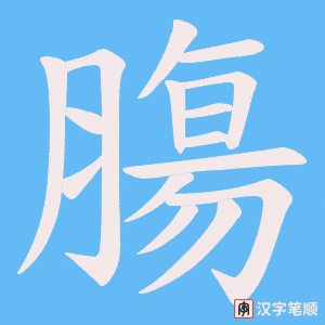 膓字笔顺图