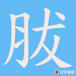 胈字笔顺图