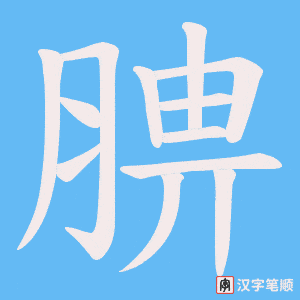 腗字笔顺图
