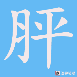 胓字笔顺图