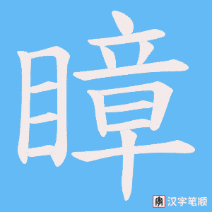 瞕字笔顺图