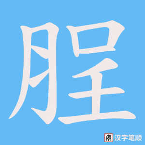 脭字笔顺图