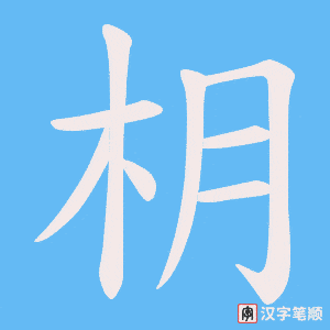 枂字笔顺图