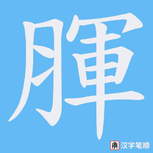 腪字笔顺图