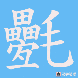 氎字笔顺图