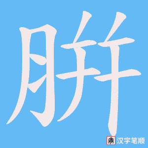 腁字笔顺图