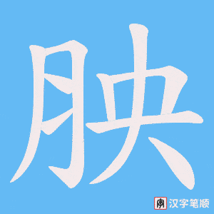 胦字笔顺图