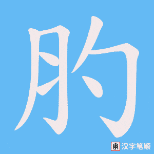 肑字笔顺图